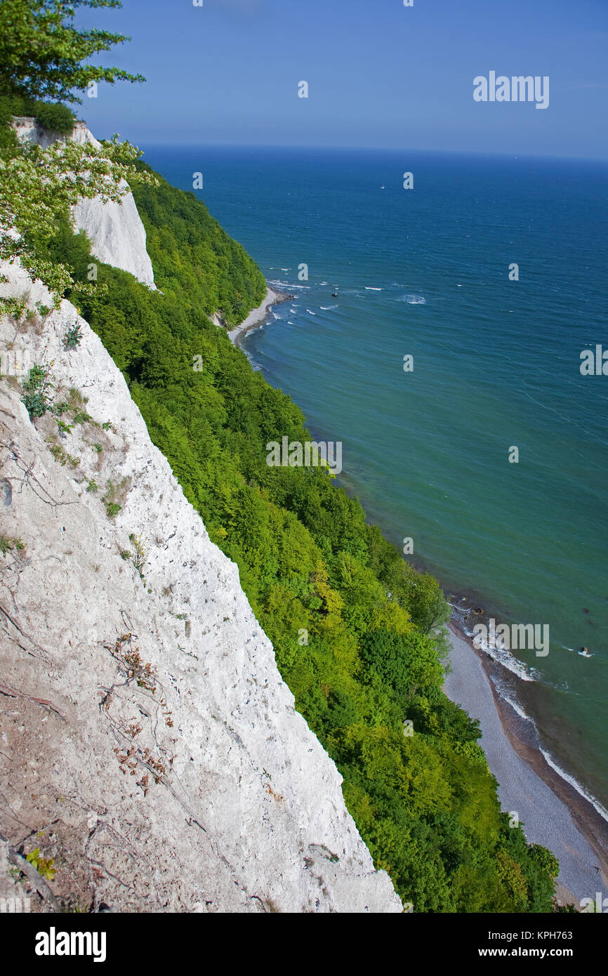 Avis sur "Koenigsstuhl (président) des rois de craie au parc national de Jasmund, Ruegen island, Mecklembourg-Poméranie-Occidentale, Mer Baltique, Allemagne Banque D'Images
