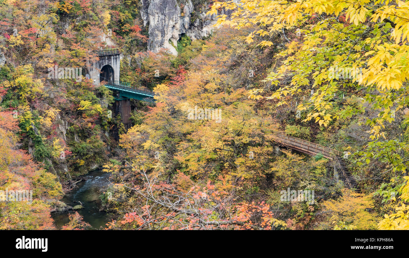 Les Gorges Naruko les feuilles d'automne dans la saison d'automne, le Japon Banque D'Images