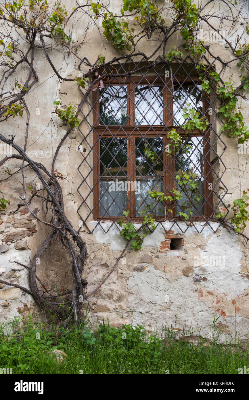 La Roumanie, la Transylvanie, Viscri, village traditionnel roumain, soutenu par le Prince Charles d'Angleterre, détails de construction Banque D'Images