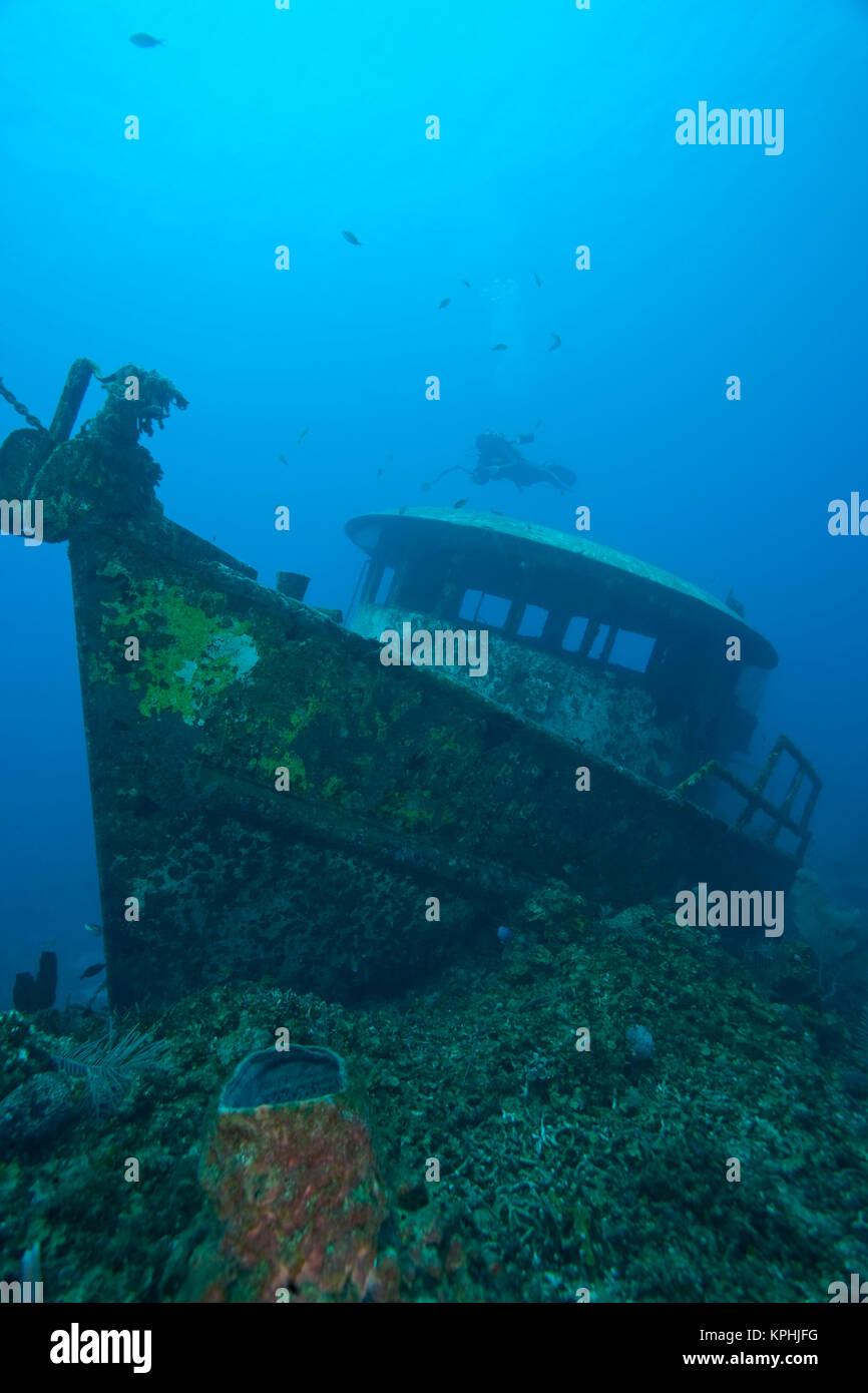 Naufrage, Roatan parc marin, plongée sous-marine des Caraïbes, Roatan, Bay Islands, Honduras, Amérique Centrale Banque D'Images