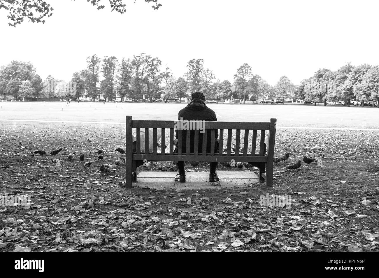 RICHMOND PARK, LONDRES, Grande-Bretagne Banque D'Images