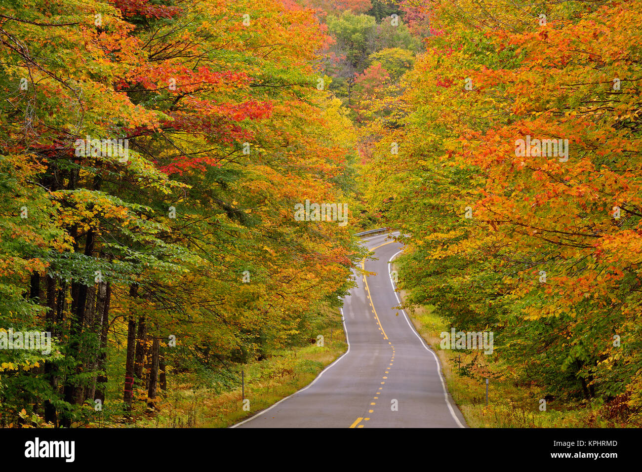 6 000+ White Mountains New Hampshire Photos, taleaux et images libre de