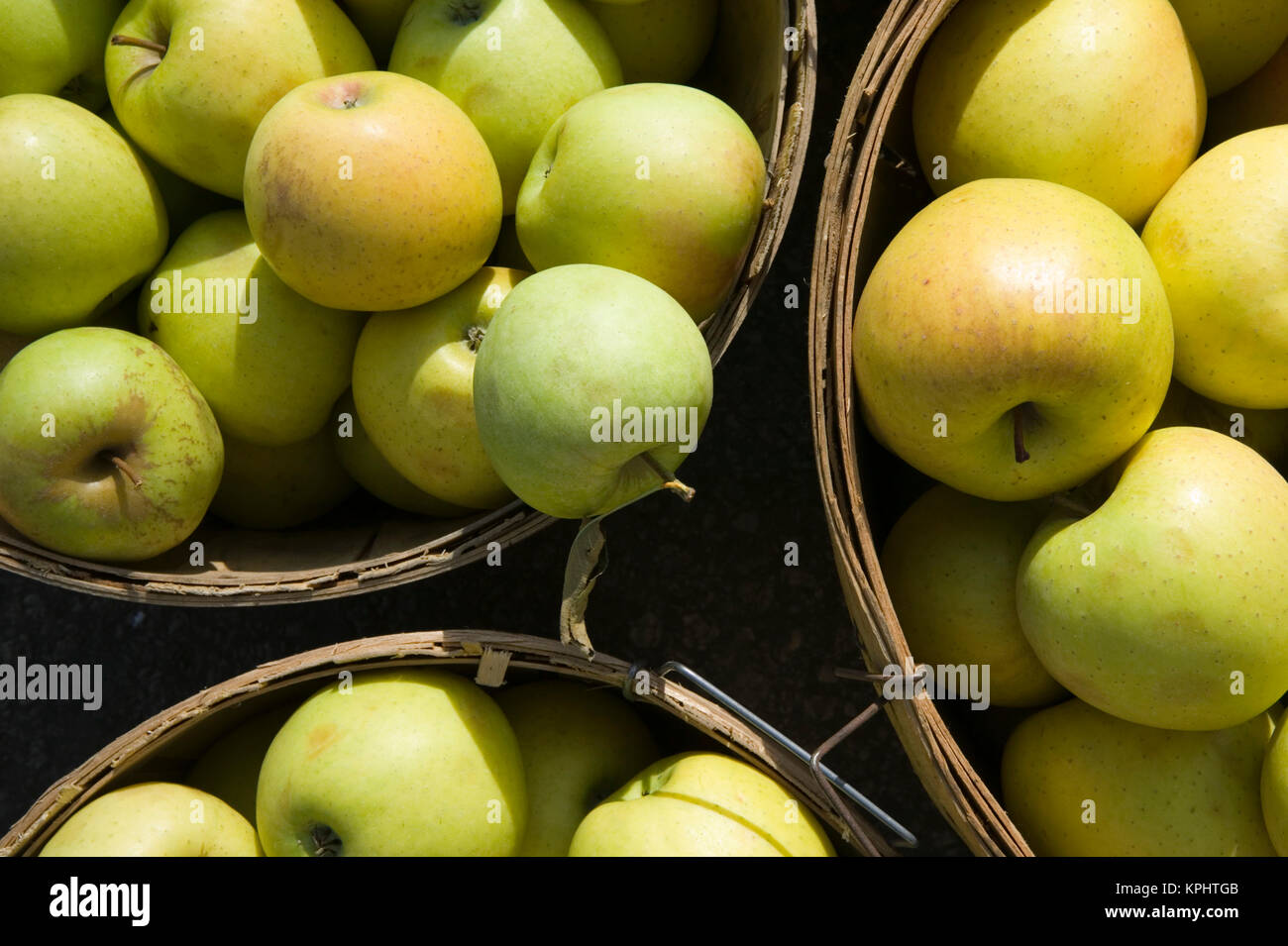 USA, Ohio, de Cédron : pommes d'automne Banque D'Images