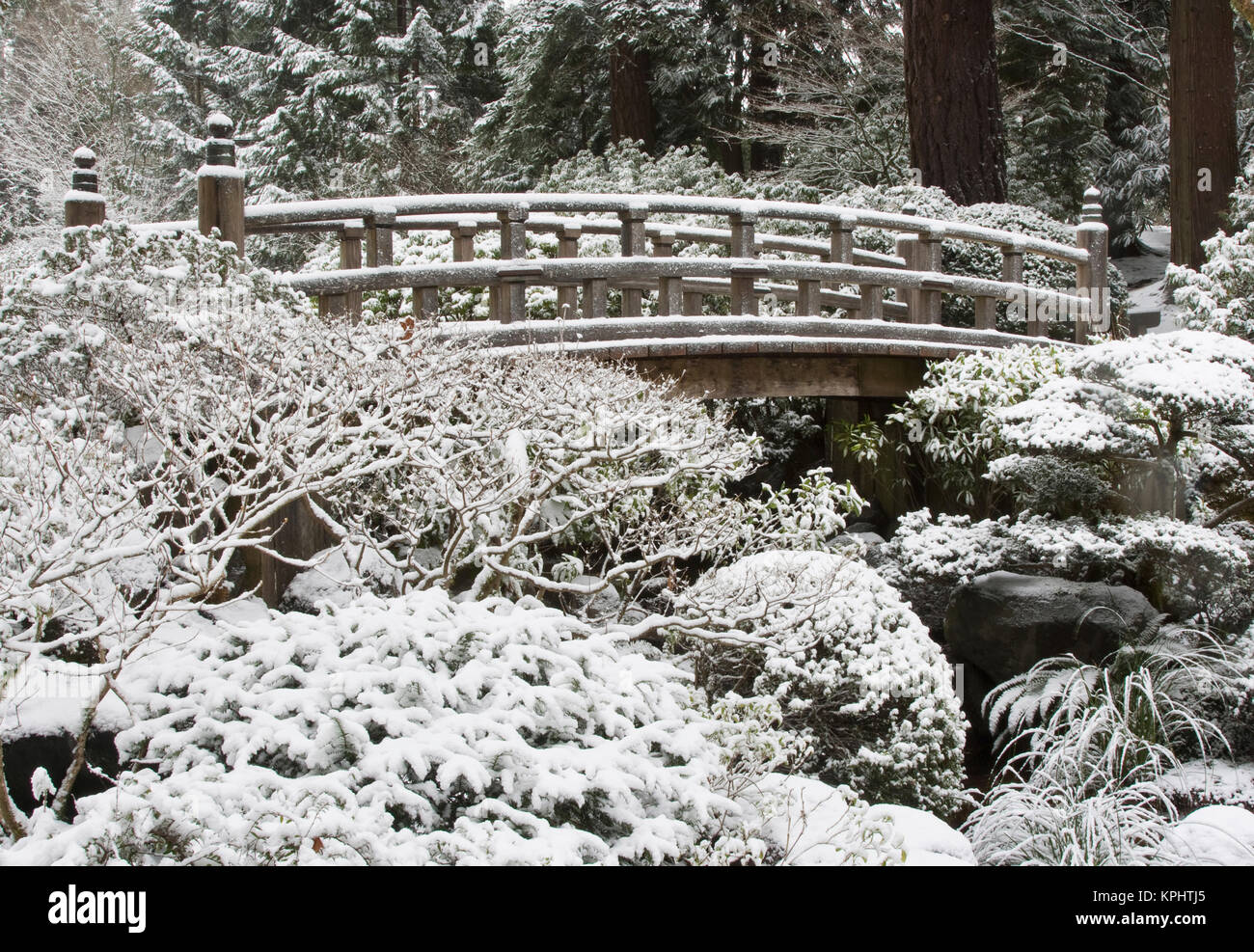 Neige dans le jardin japonais de Portland, Portland, Oregon, USA Banque D'Images