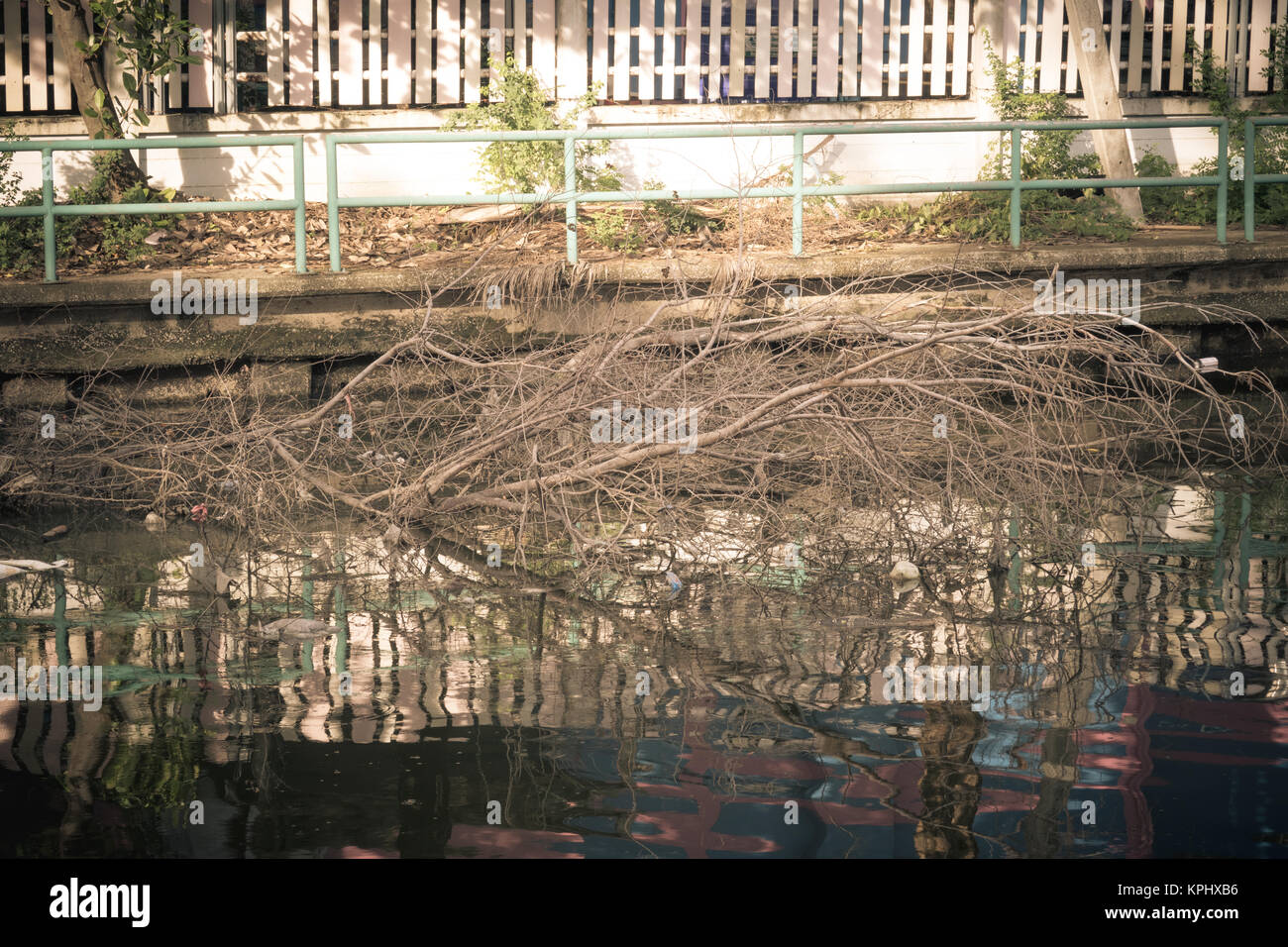 La pollution des rivières et sale Banque D'Images