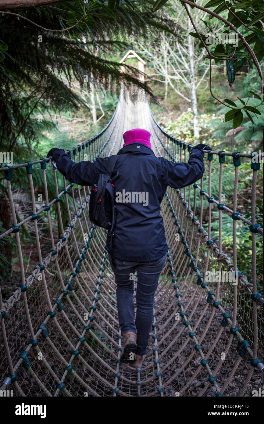 Touriste fait son chemin à travers le pont de corde dans la jungle au jardin Heligan Cornwall. Banque D'Images