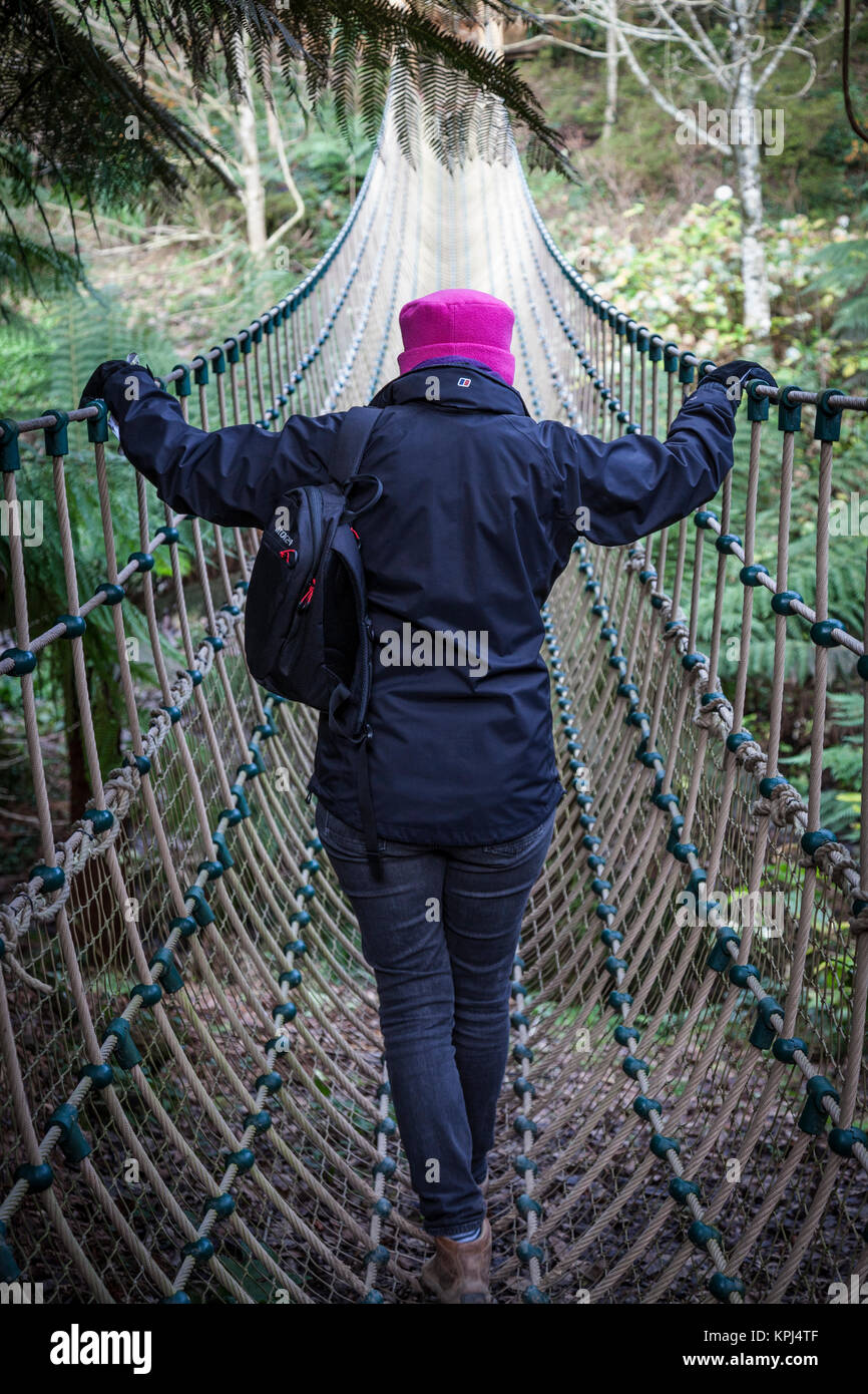 Touriste fait son chemin à travers le pont de corde dans la jungle au jardin Heligan Cornwall. Banque D'Images