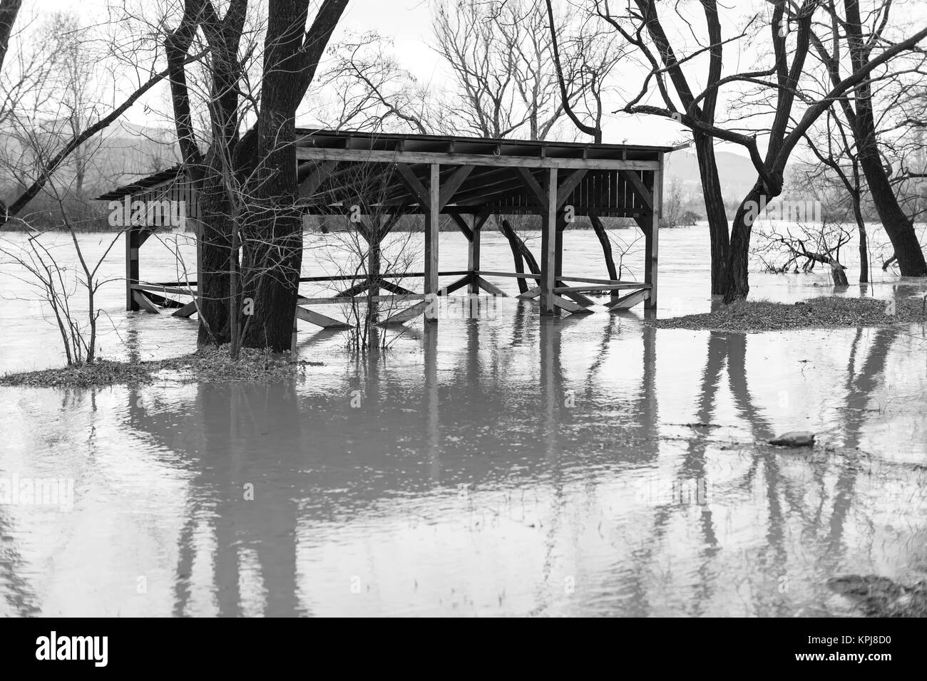 La rivière après les averses sont sortis des banques. L'inondation de rivière, arbres après une inondation Banque D'Images