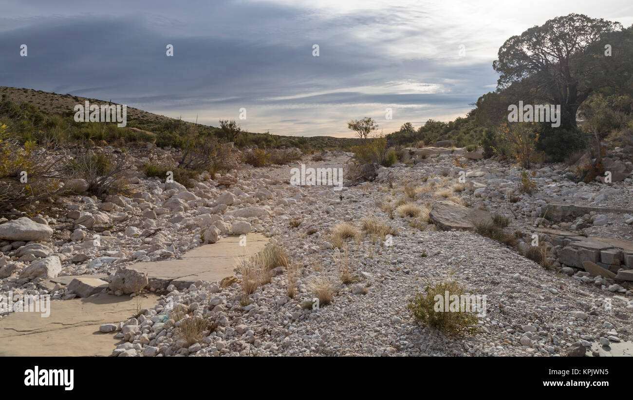 Guadalupe Mountains National Park, Texas - l'embouchure de McKittrick Canyon. Un sentier à travers le canyon commence dans le désert avant d'entrer dans la forêt. Banque D'Images