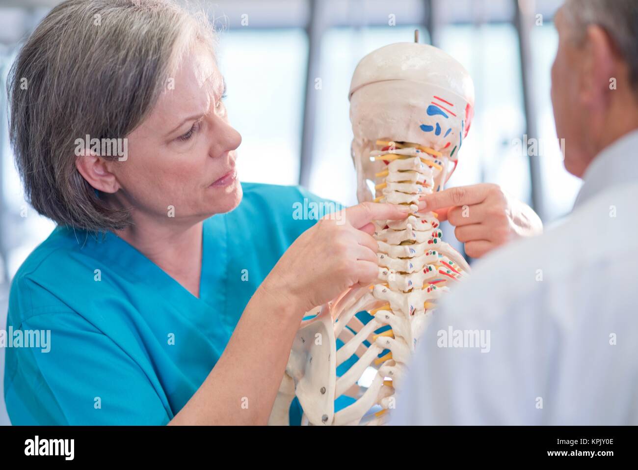 Chiropraticien montrant patient de sexe masculin féminin modèle anatomique. Banque D'Images