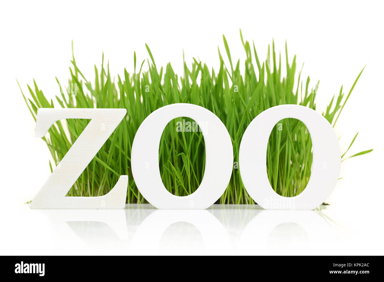 Mot 'Zoo' avec l'herbe fraîche isolated on white Banque D'Images