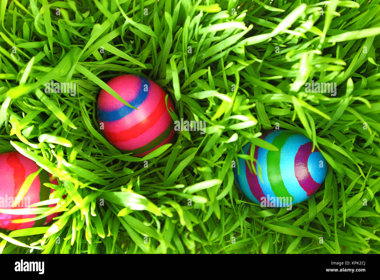 Les oeufs de Pâques colorés sur l'herbe verte fraîche Banque D'Images