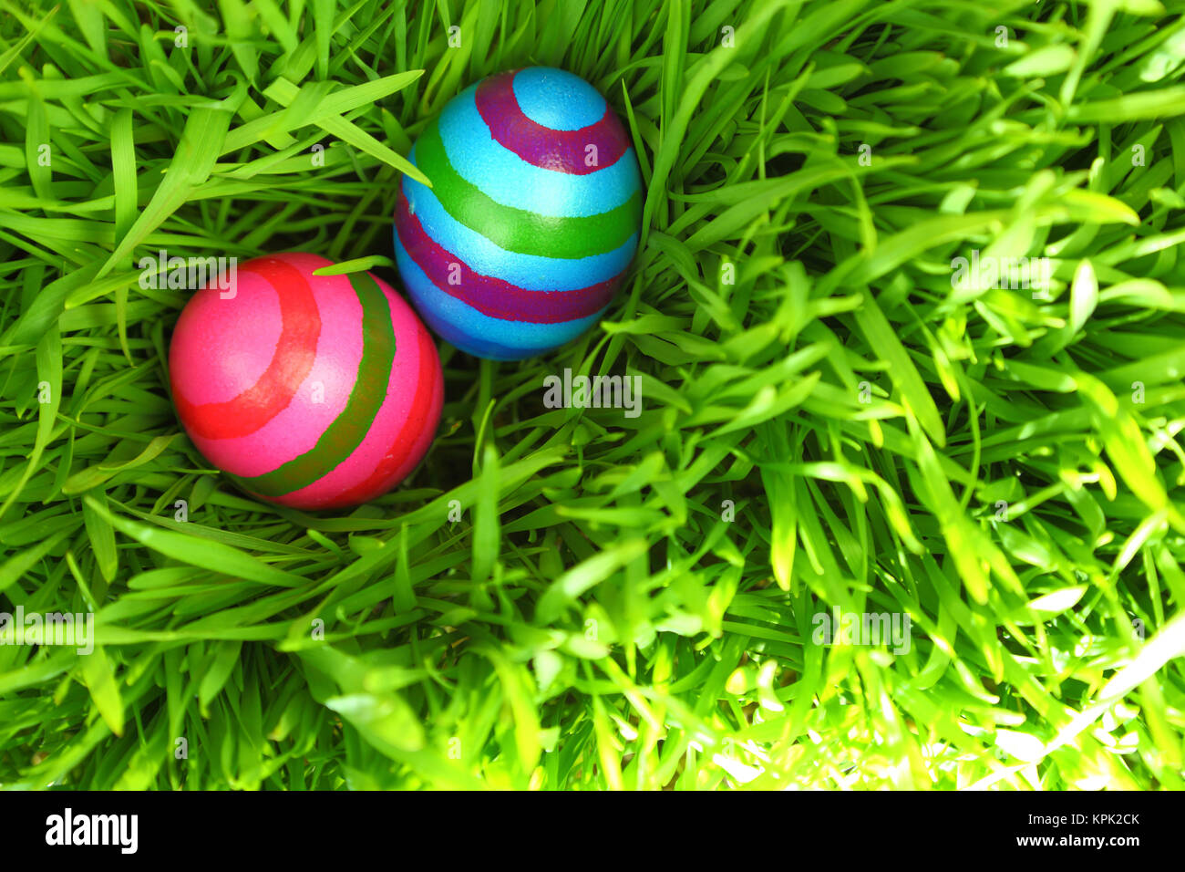 Les oeufs de Pâques colorés sur l'herbe verte fraîche Banque D'Images