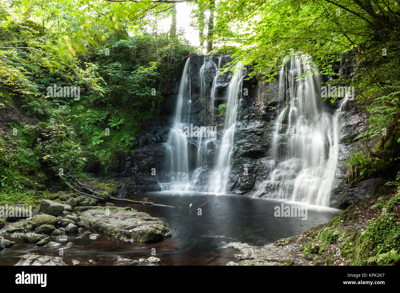 Avec petit étang d'eau Cascade ci-dessous entouré d'arbres et de végétation luxuriante dans une forêt de feuillus en été. Glenariff Forest Park, l'Irlande du Nord Banque D'Images