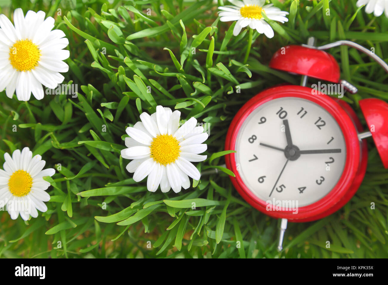 Horloge rouge sur fond de fleurs de l'herbe verte Banque D'Images