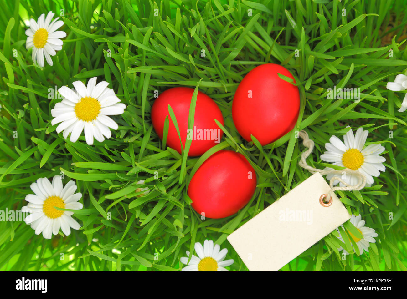 L'herbe verte avec des oeufs de Pâques rouge et blanc tag Banque D'Images