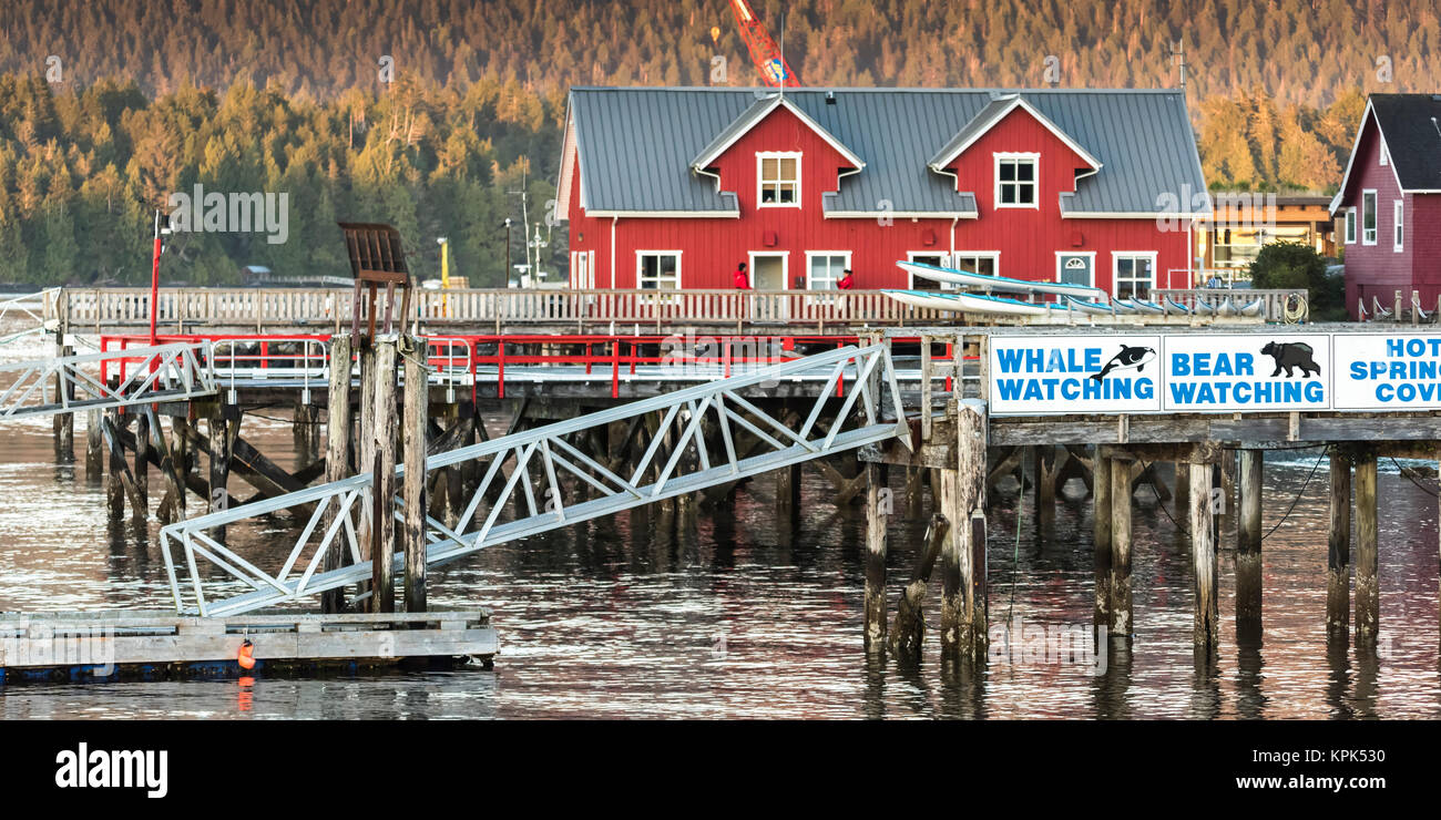 Les bâtiments et les quais le long de la côte avec les panneaux pour l'observation des ours et des baleines, Clayoquot Sound, l'île de Vancouver, Tofino, Colombie-Britannique, Canada Banque D'Images