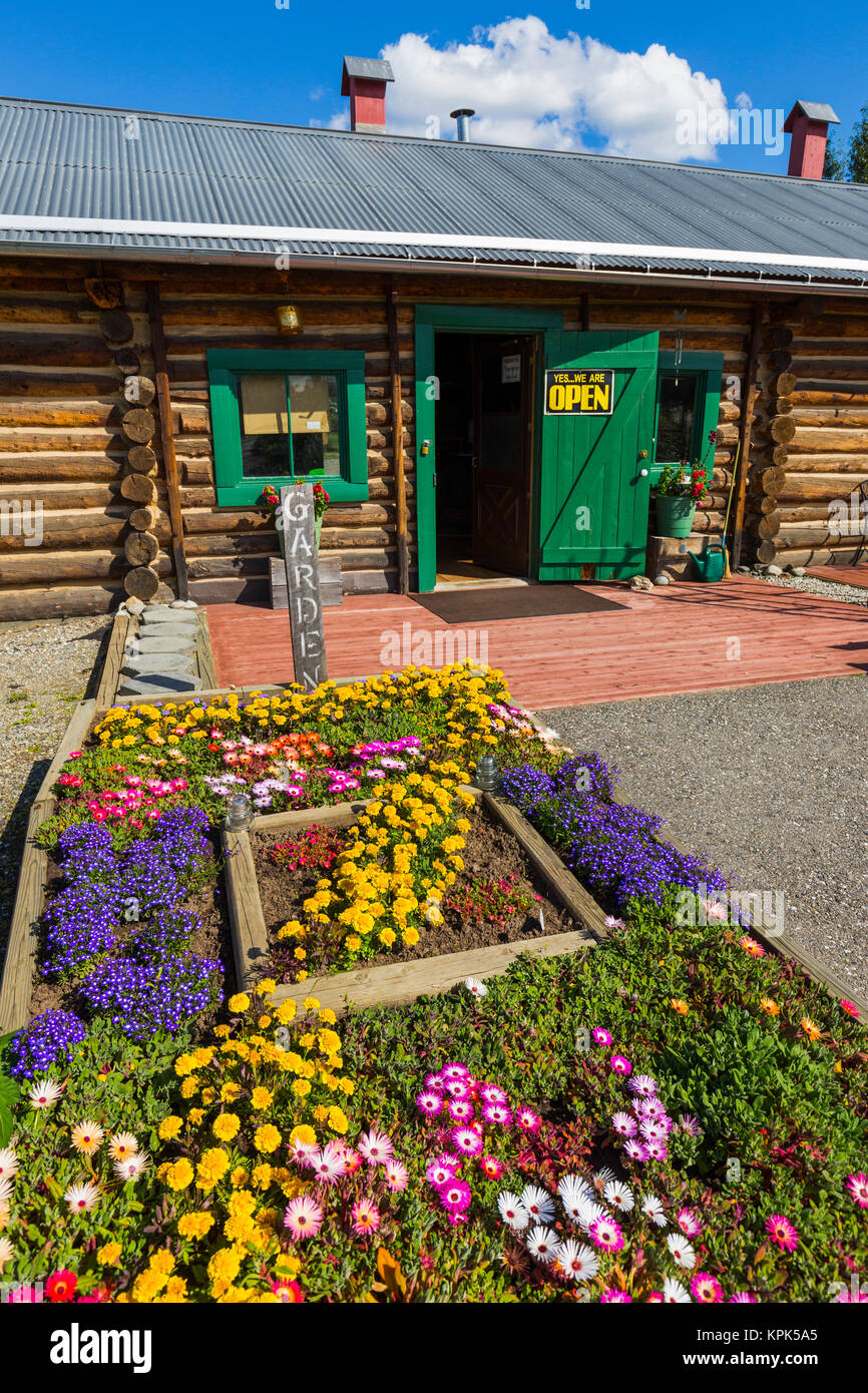 Un jardin d'été se développe en dehors de la fleurs Sullivan Roadhouse Historical Museum ; Delta Junction, Alaska, United States of America Banque D'Images