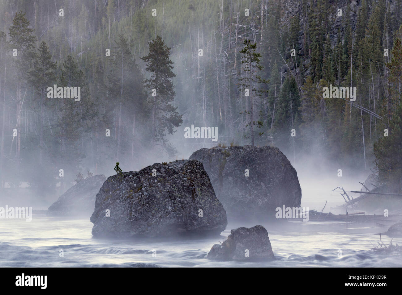 Rochers dans la brume matinale, Gibbon River, le Parc National de Yellowstone, Wyoming Banque D'Images