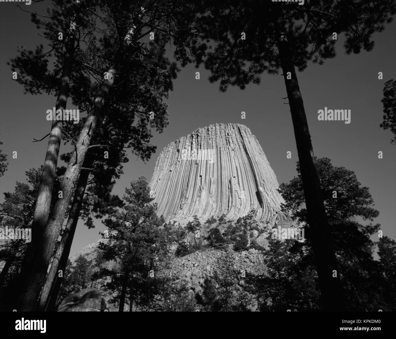 USA, Wyoming, Hulett, Devil's Tower National Monument au crépuscule (grand format formats disponibles) Banque D'Images