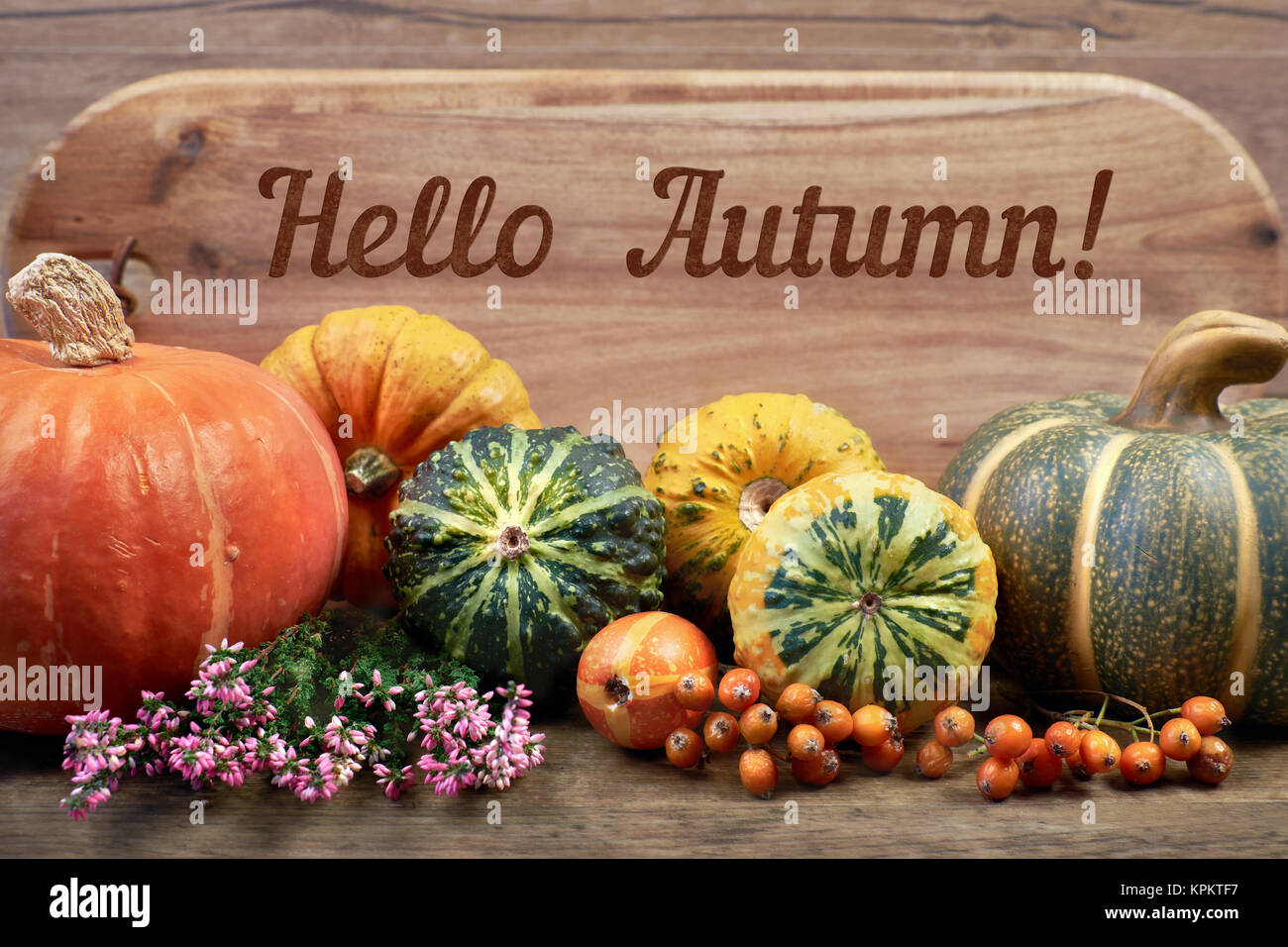 Décorations d'automne sur le bois et le texte "Bonjour l'automne !'. Vue côté droit, tonique, l'accent sur les citrouilles et les baies. Banque D'Images