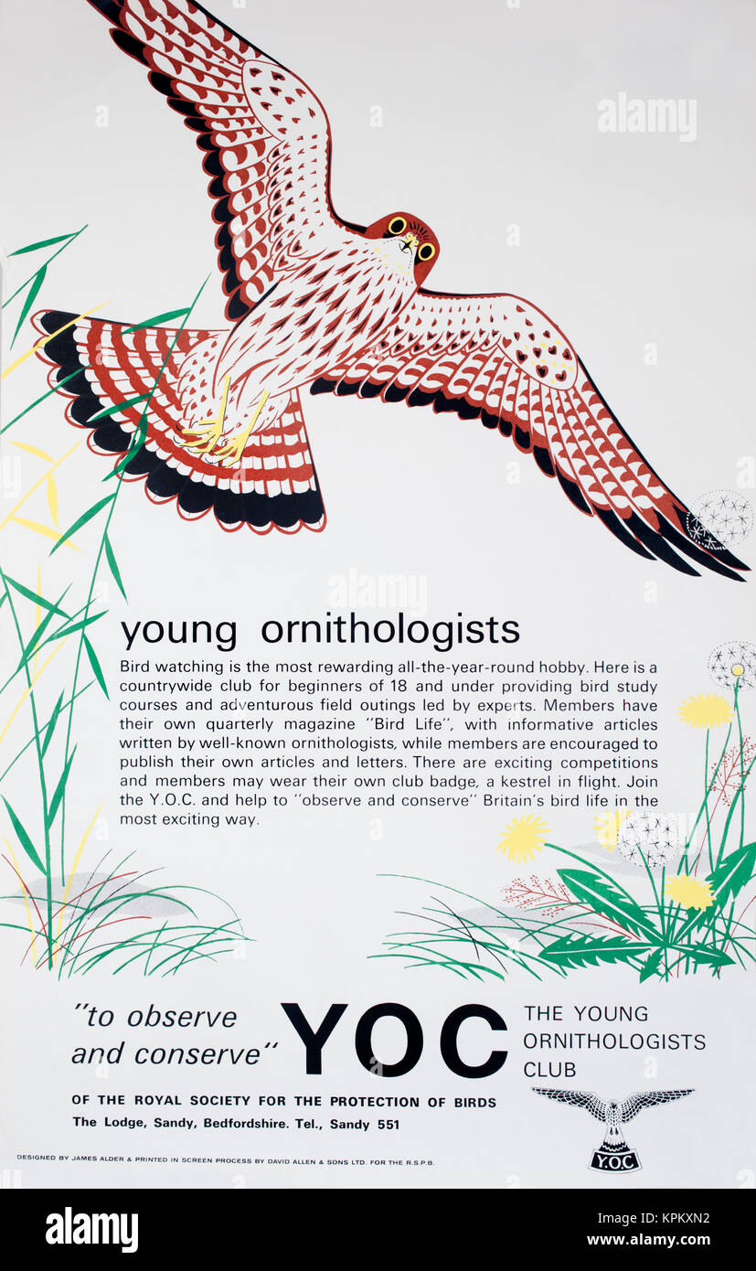 60 d'informations affiche conçue par l'artiste et sculpteur,James aulne. pour la Société royale pour la protection des oiseaux (RSPB) -La direction junior YOC. Banque D'Images 60 d'informations affiche conçue par l'artiste et sculpteur,James aulne. pour la Société royale pour la protection des oiseaux (RSPB) -La direction junior YOC. Banque D'Images