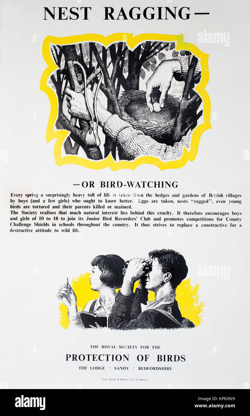 1960 affiche d'information RSPB dissuader le vol d'œufs de nids d'oiseaux-conçu et dessiné par Charles Tunnicliffe Banque D'Images