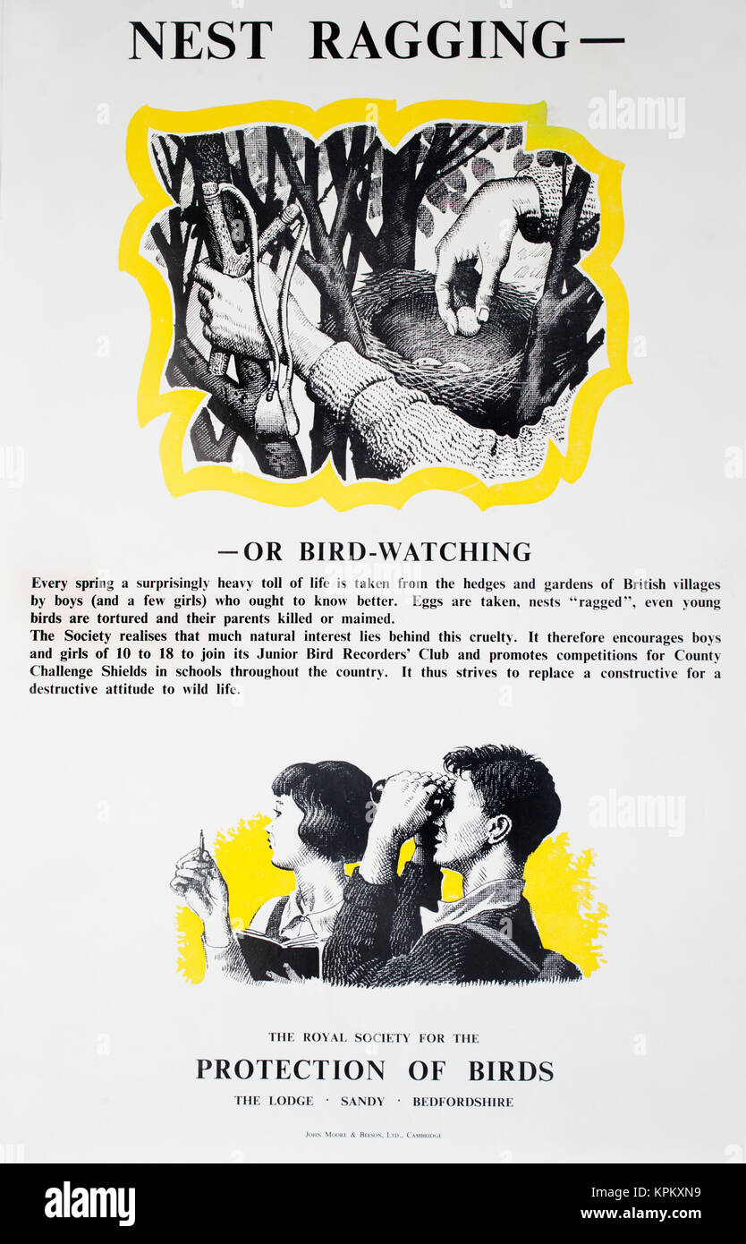 1960 affiche d'information RSPB dissuader le vol d'œufs de nids d'oiseaux-conçu et dessiné par Charles Tunnicliffe Banque D'Images 1960 affiche d'information RSPB dissuader le vol d'œufs de nids d'oiseaux-conçu et dessiné par Charles Tunnicliffe Banque D'Images