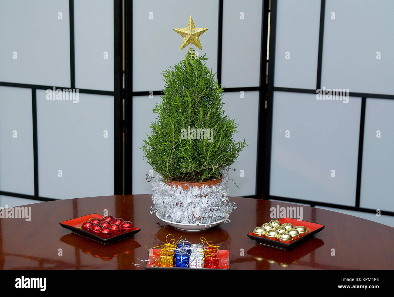 Rosemary Mini Arbre de Noël prêts pour décorations colorées en studio avec une étoile d'or et de stores à carreaux Banque D'Images