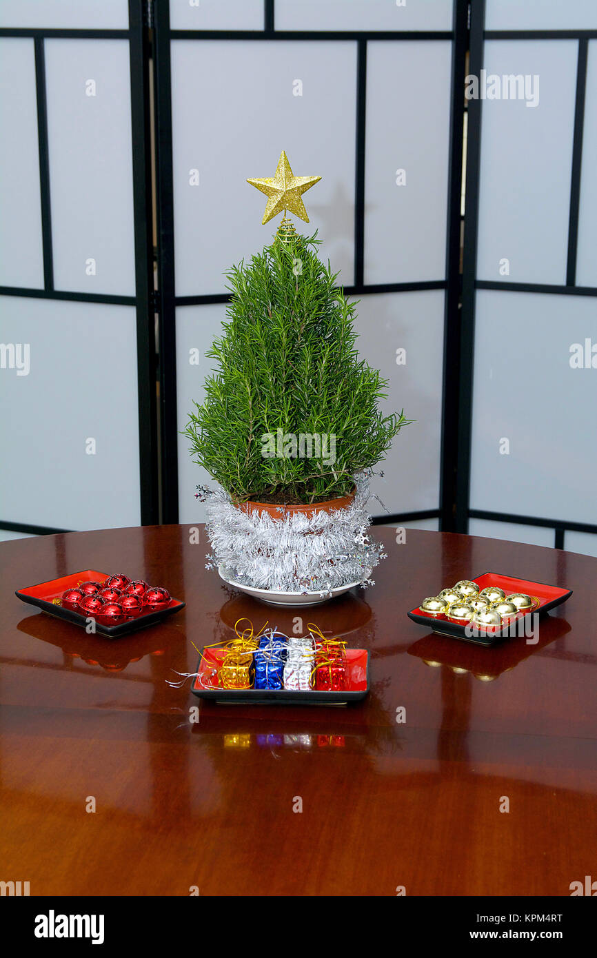 Rosemary Mini Arbre de Noël prêts pour décorations colorées en studio avec une étoile d'or et de stores à carreaux Banque D'Images