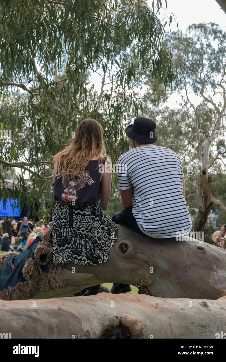 Jeune couple assis sur de grands eucalyptus arbre branche regardant les gens et les artistes à la Meredith Music Festival. Banque D'Images