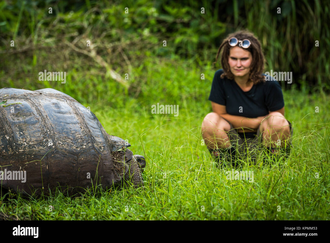 Femme regardant intensément à la tortue géante des Galapagos Banque D'Images