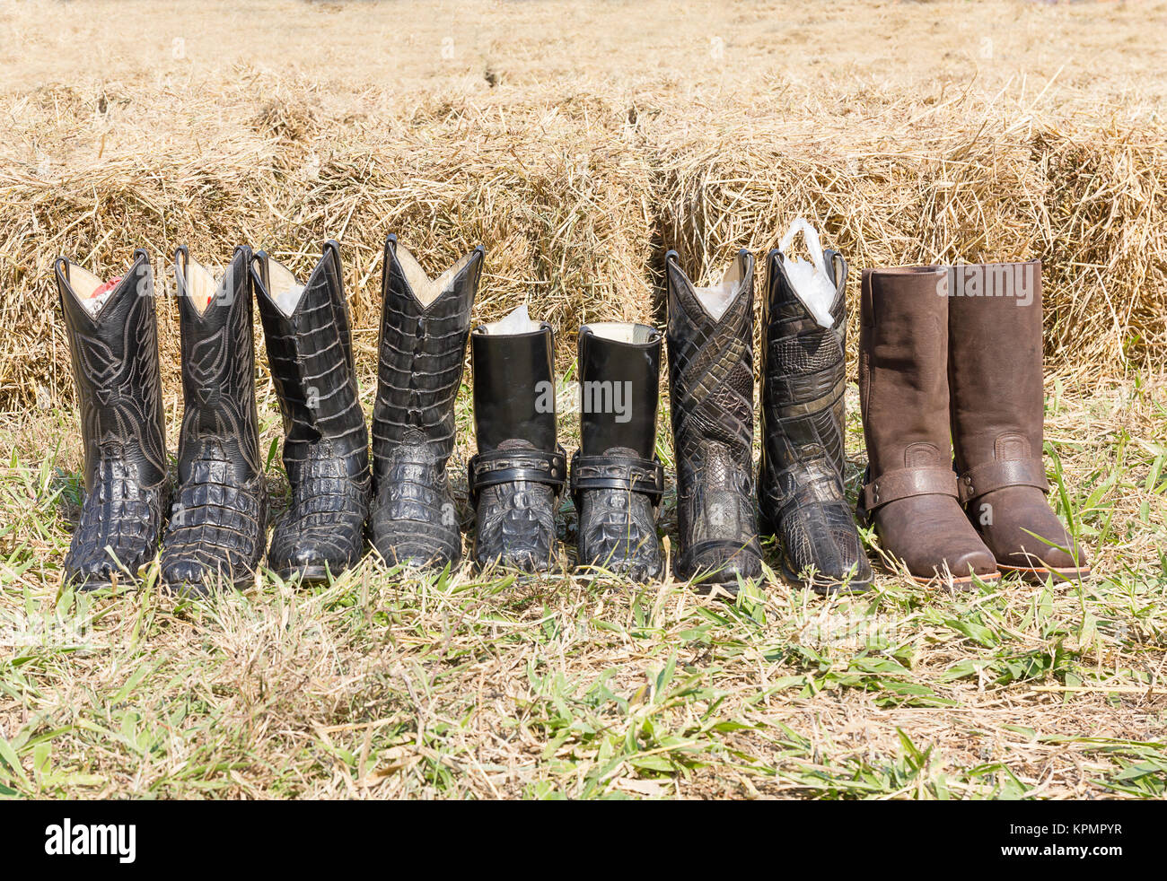 Cowboy bottes en cuir de crocodile Banque D'Images