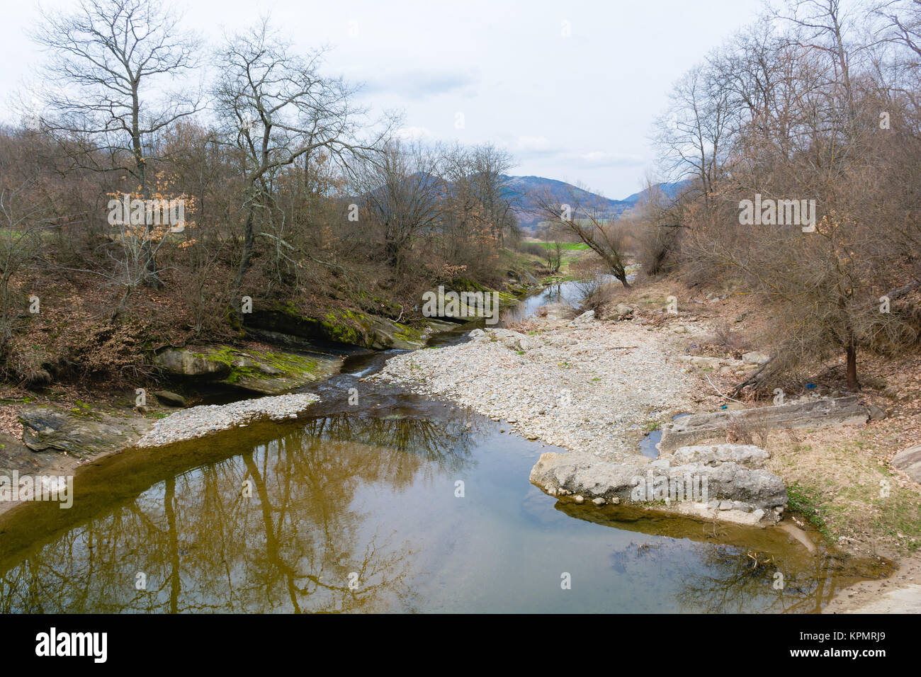 Une partie de la rivière à sec dans les bois au printemps Banque D'Images