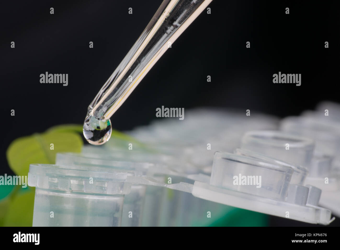 Close-up pour microtubes de Banque D'Images
