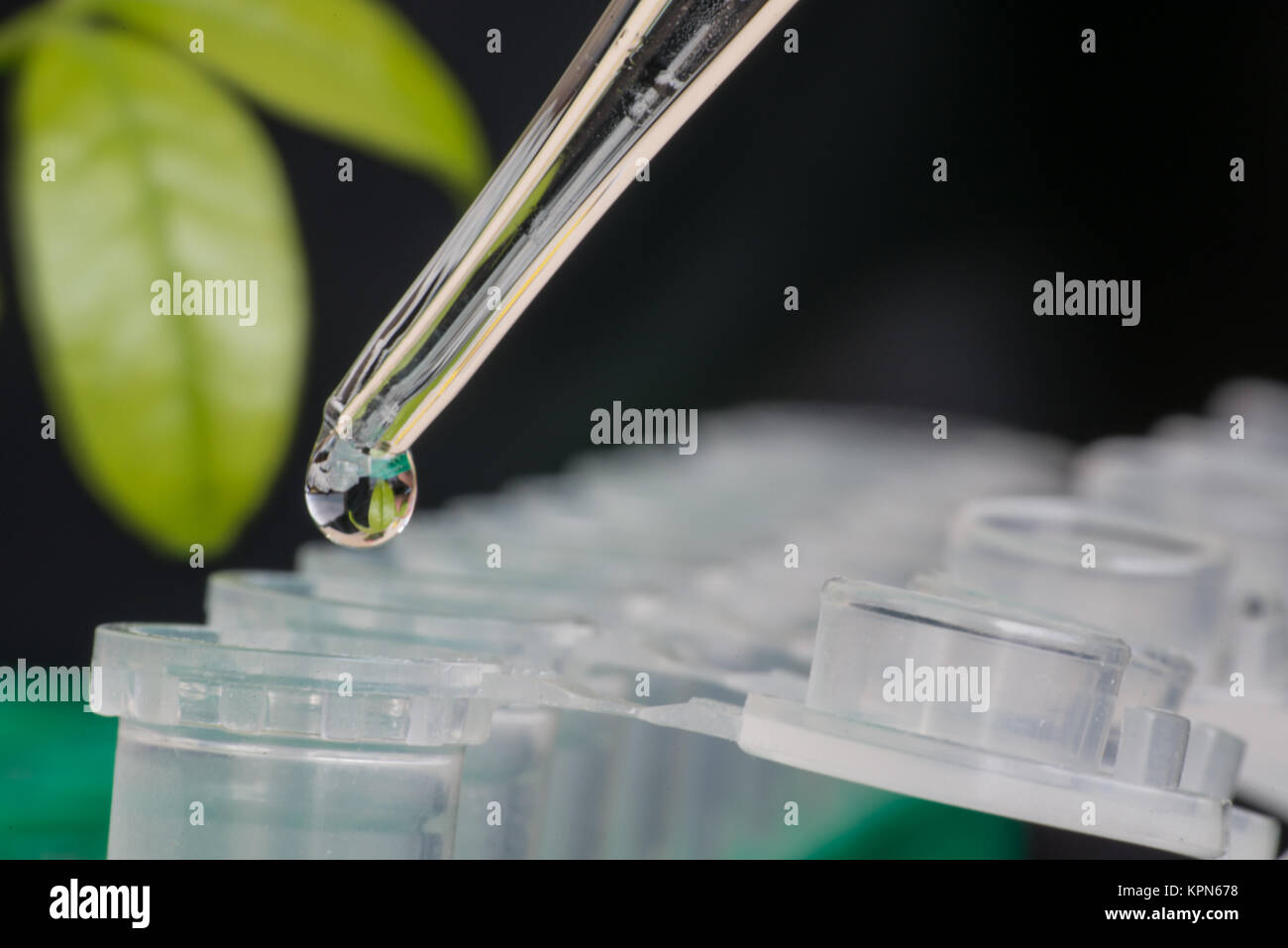 Close-up pour microtubes de Banque D'Images