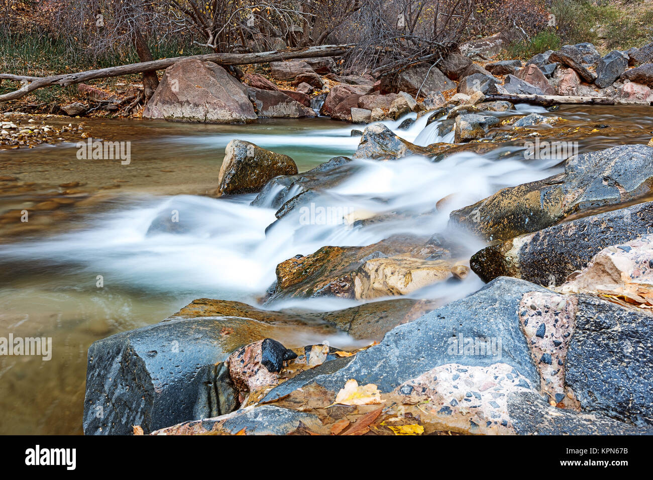 L'eau qui coule à travers la rivière vierge dans Zion National Park aux Etats-Unis Banque D'Images