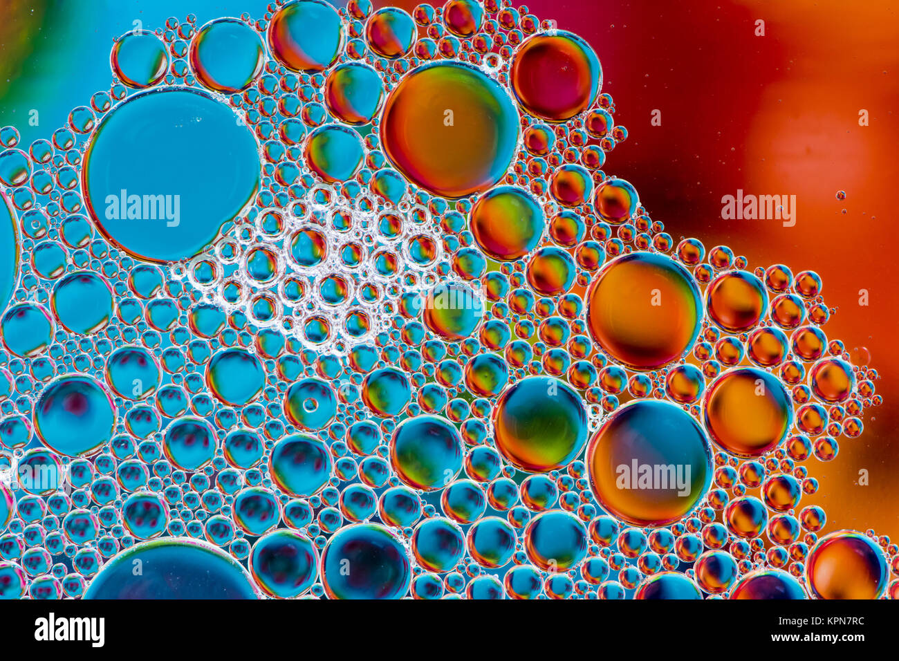 Macro abstrait Bulles d'huile Banque D'Images