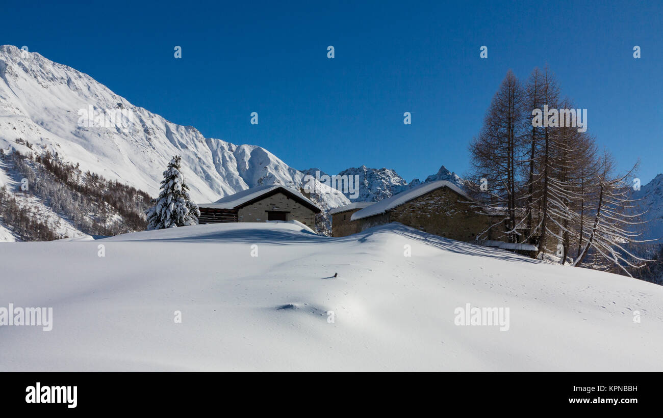 Peu de chalets dans une forêt couverte de neige, paysage d'hiver. Alpes Banque D'Images