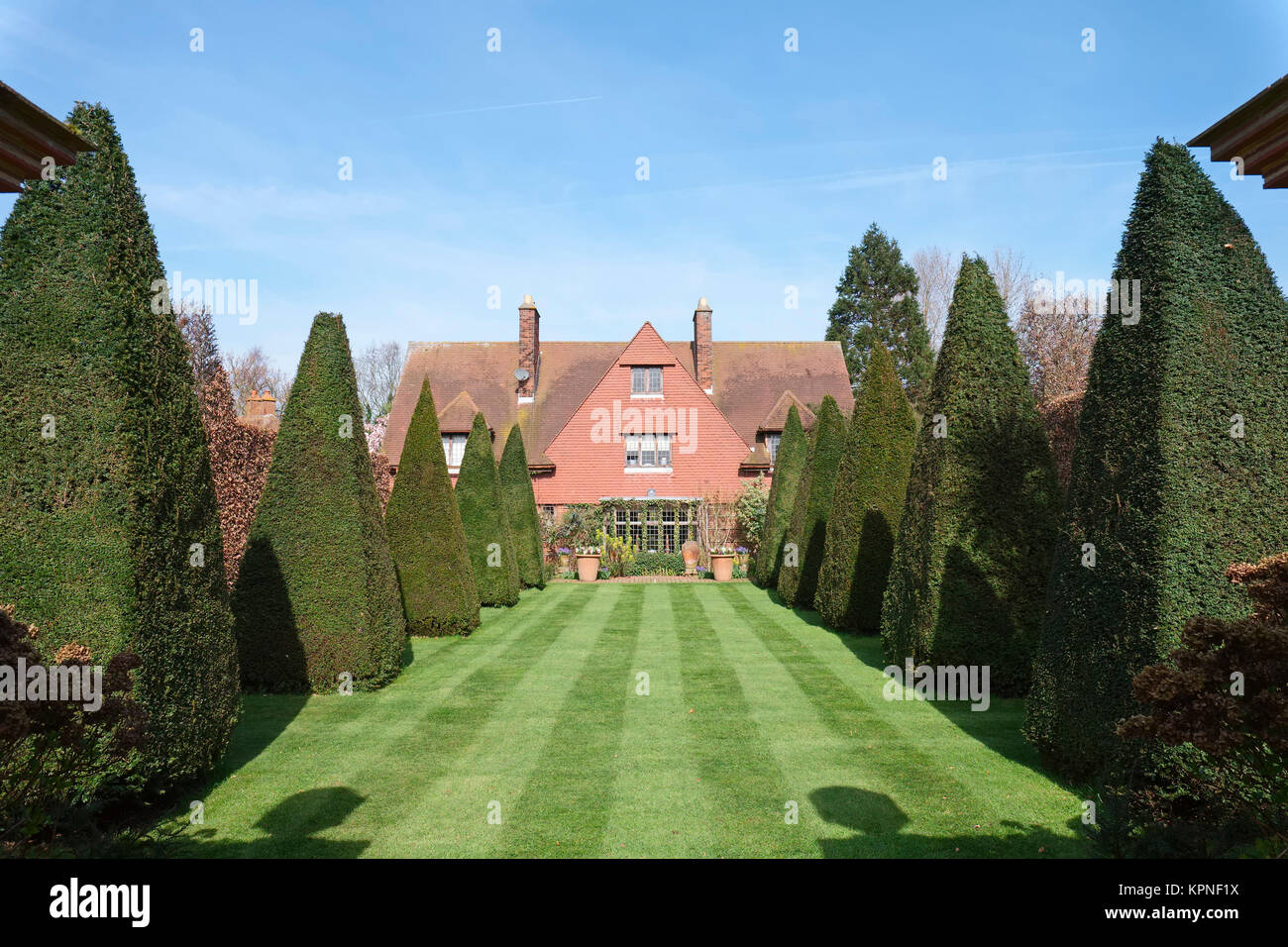 Pelouse à rayures et les ifs taillés l'ancien presbytère Arts et artisanat Chambre à East Ruston Norfolk Banque D'Images