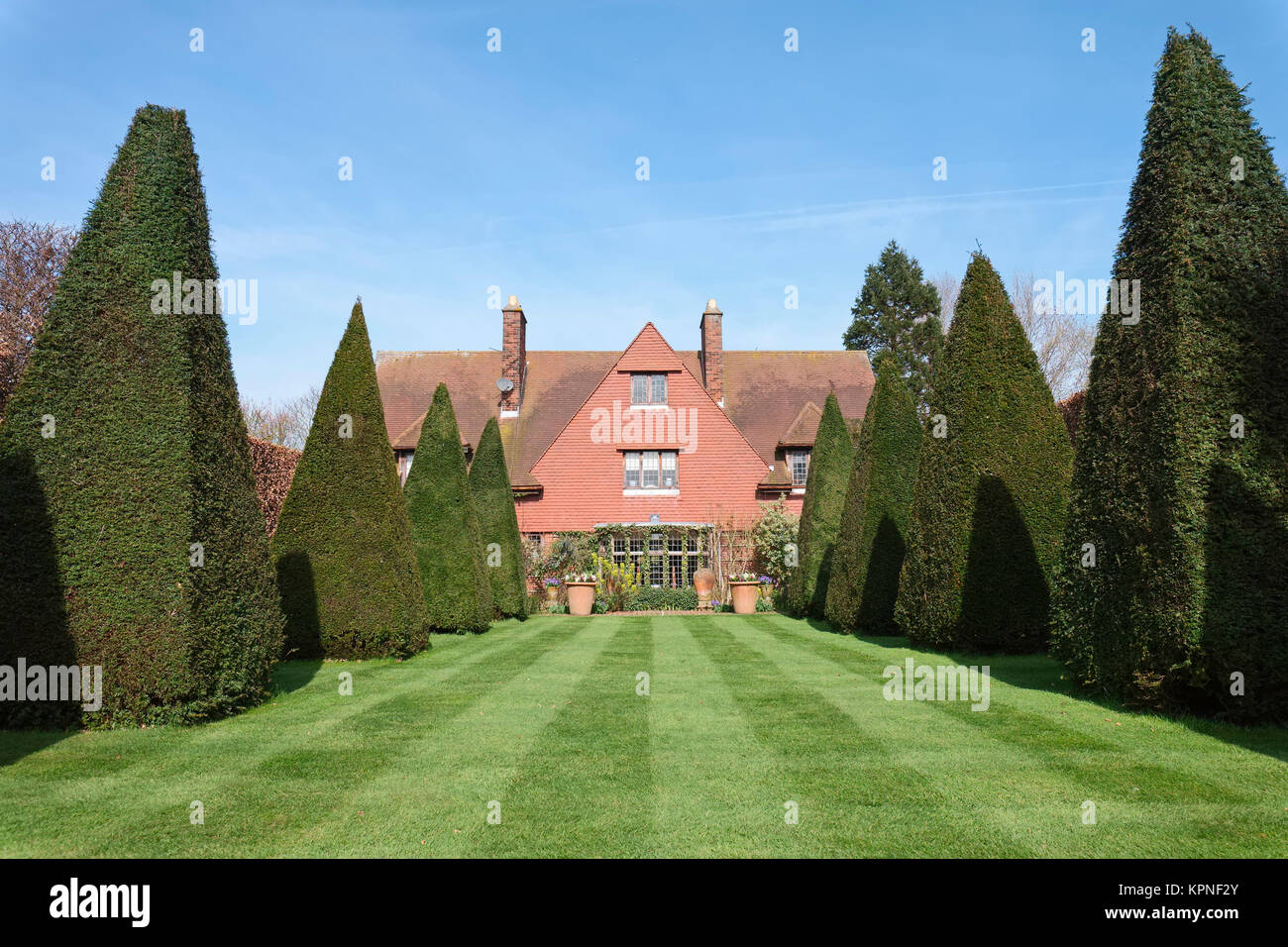 Pelouse à rayures et les ifs taillés l'ancien presbytère Arts et artisanat Chambre à East Ruston Norfolk Banque D'Images