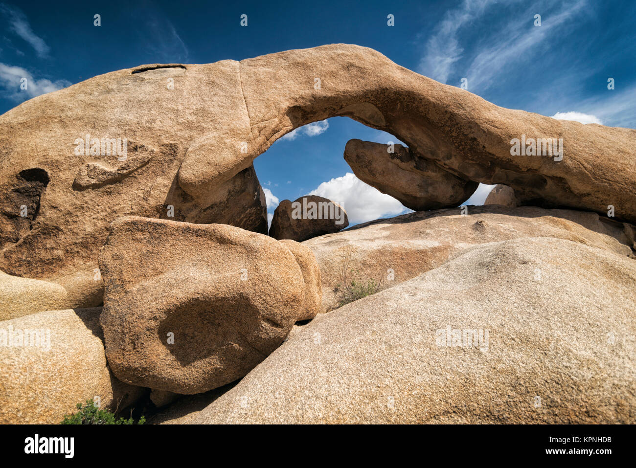 Joshua Tree National Park, Californie Banque D'Images