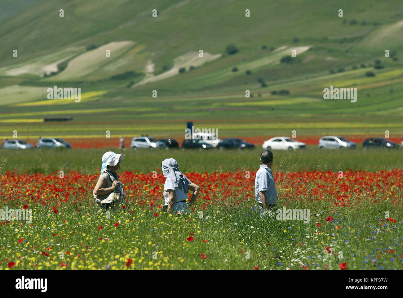 Paysages Fleuris Banque D Image Et Photos Alamy