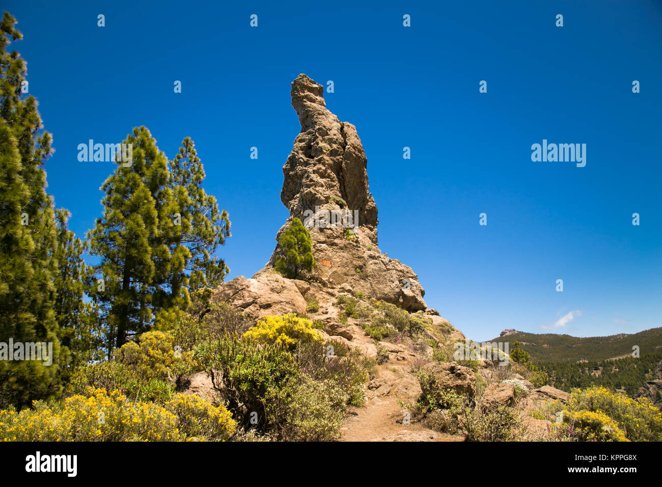 Rock à Parque Rural del Nublo en montagne de Gran Canaria, Espagne. Banque D'Images