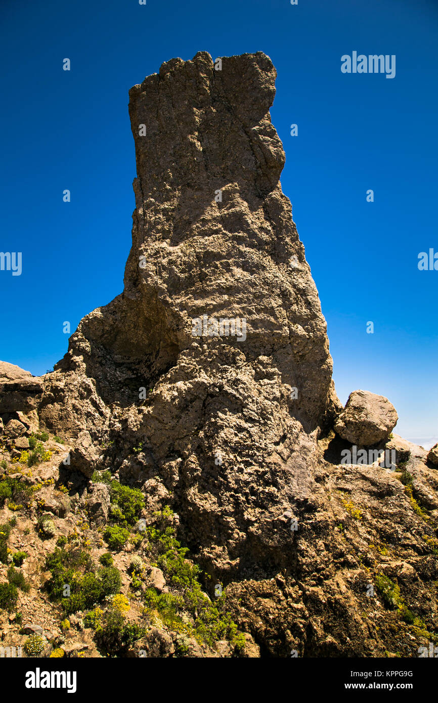 Rock à Parque Rural del Nublo sur montagne de Gran Canaria en Espagne. Banque D'Images