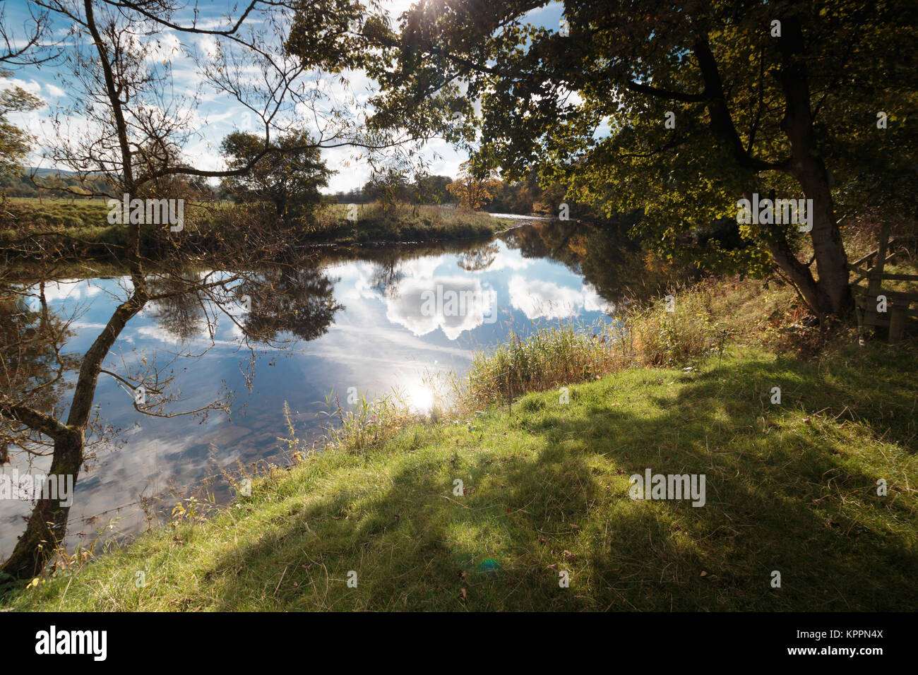 River à Edisford Ribble, Clitheroe Banque D'Images