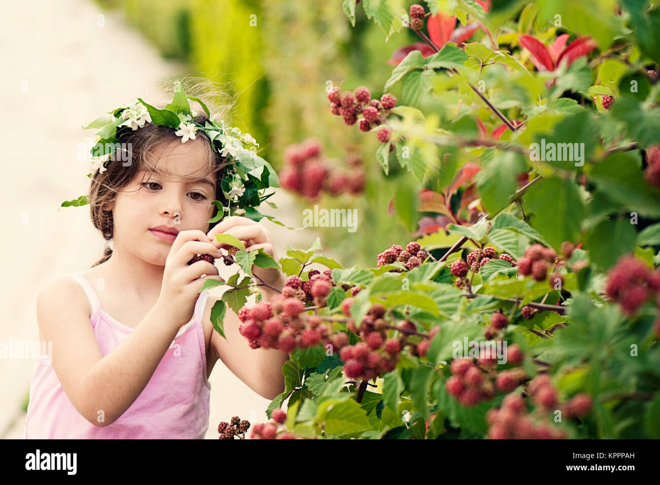 Enfant avec la couronne de fleurs cueillir des baies Banque D'Images