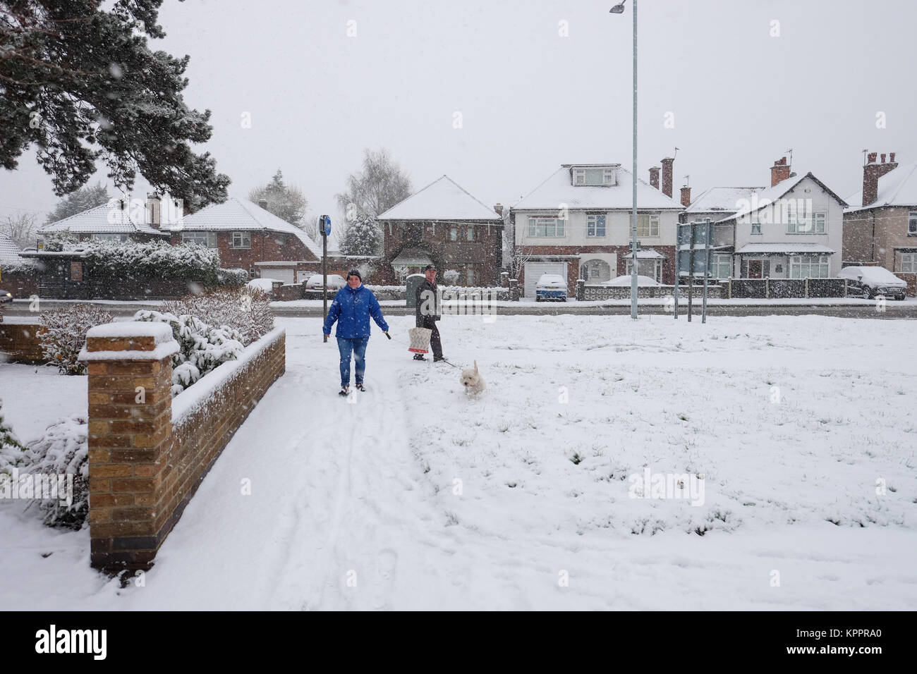 Les femmes promener son chien dans la neige Banque D'Images