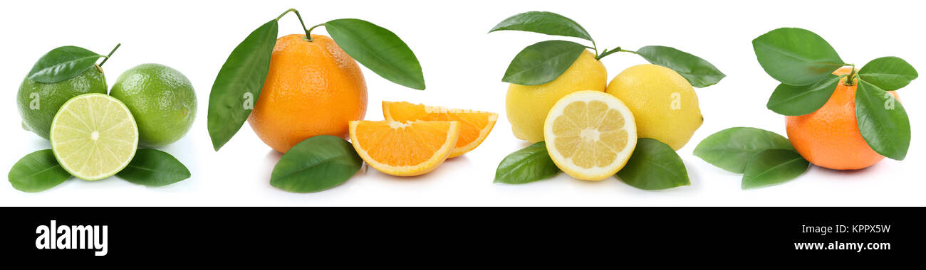 Collage Orangen Zitrone Mandarine bio Früchte in einer Reihe Freisteller freigestellt vor einem isoliert weissen Hintergrund Banque D'Images