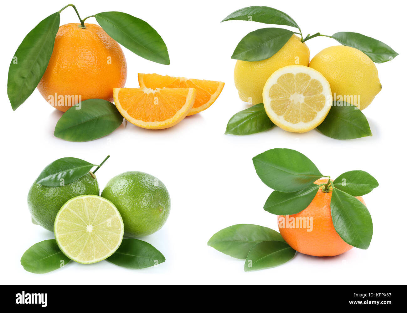 Collage Orangen Zitrone Mandarine bio Früchte Freisteller freigestellt isoliert vor einem weissen Hintergrund Banque D'Images
